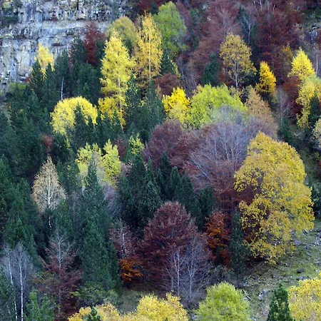 Camping El Jabalí Blanco