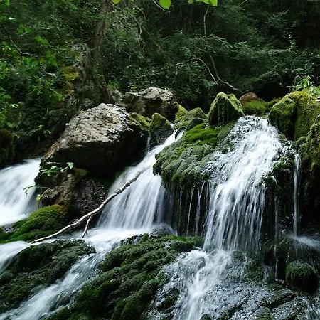 Camping Camping El Jabalí Blanco Fiscal