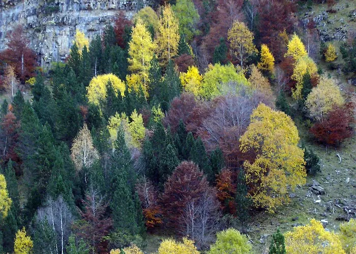 Camping El Jabali Blanco