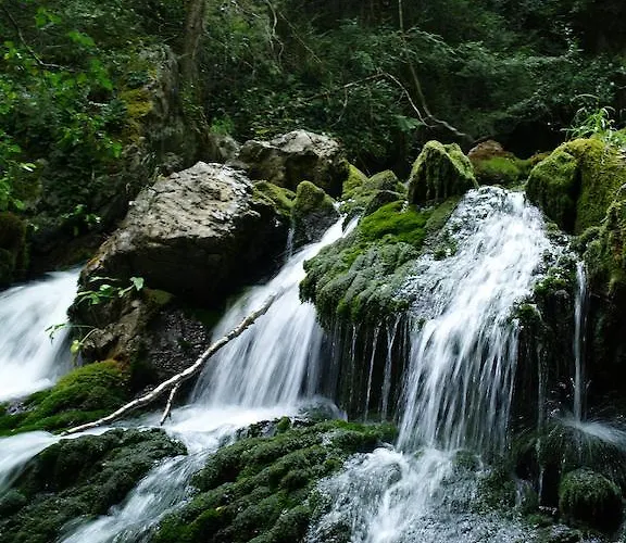 Camping Camping El Jabali Blanco Fiscal