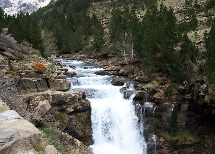 Camping El Jabali Blanco Fiscal