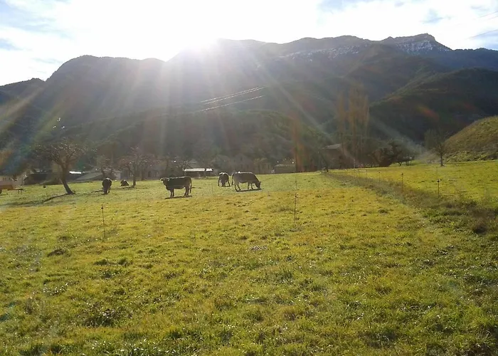 Camping Camping El Jabali Blanco Fiscal